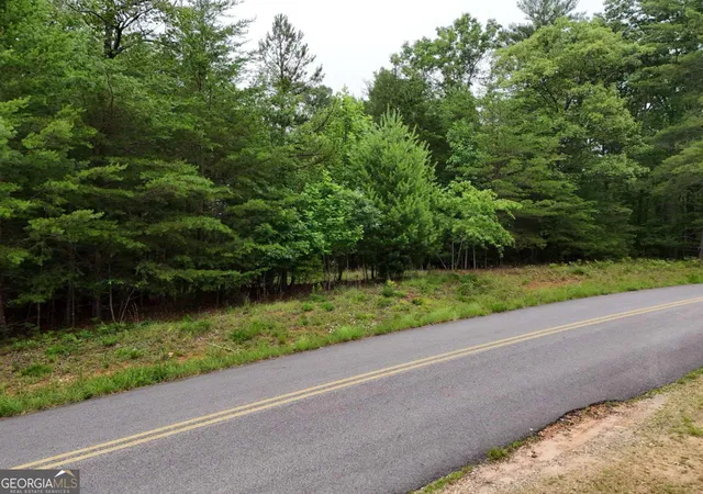 2nd image of Lot 3 Cook Henry Rd, Blairsville, GA 30512 | MLS# 10791973
