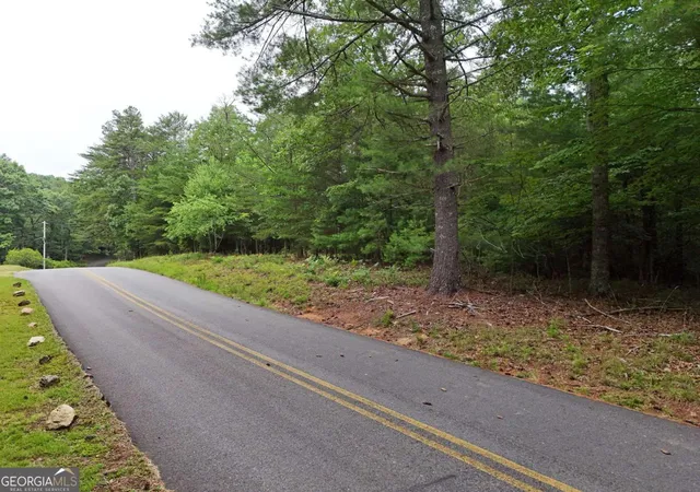 3rd image of Lot 3 Cook Henry Rd, Blairsville, GA 30512 | MLS# 10791973