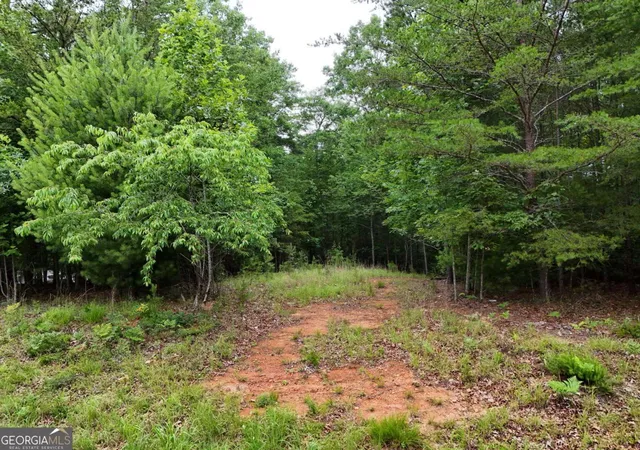 4th image of Lot 3 Cook Henry Rd, Blairsville, GA 30512 | MLS# 10791973