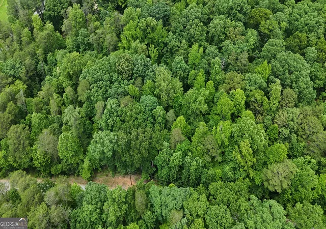 4th image of 0 Sautee Ridge Rd #TRACT 1, Clarkesville, GA 30523 | MLS# 10819978