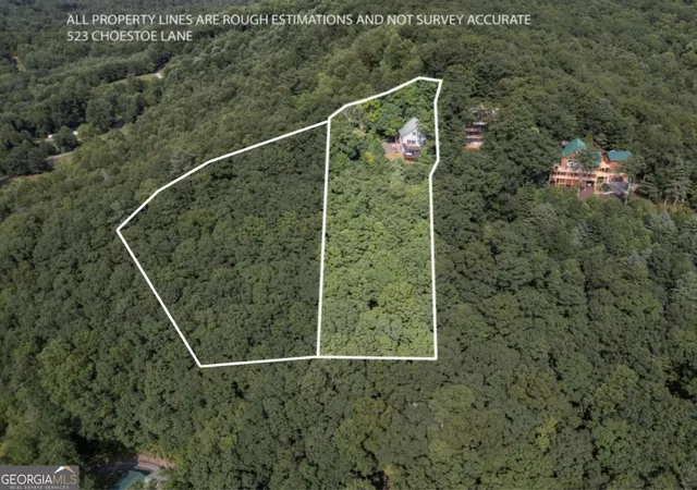 21st image of 523 Choestoe Ln, Blairsville, GA 30512 | MLS# 10815863