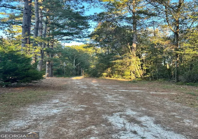 34th image of 216 Skye View Dr, Statesboro, GA 30458 | MLS# 10778652