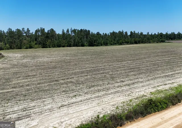 1st image of 08600022t3 Redbird Road, Lumber City, GA 31549 | MLS# 10516190