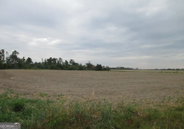 3rd image of 08600022T3 Redbird Road, Lumber City, GA 31549 | MLS# 10516190
