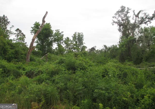 4th image of 08600022T3 Redbird Road, Lumber City, GA 31549 | MLS# 10516190