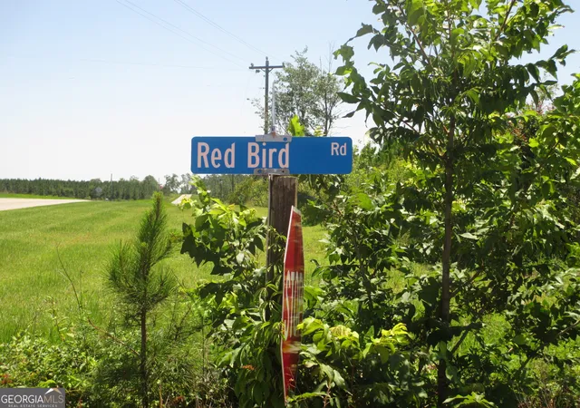 6th image of 08600022t3 Redbird Road, Lumber City, GA 31549 | MLS# 10516190