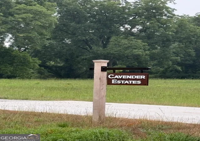6th image of 0 Bob Smith Rd #5, Sharpsburg, GA 30277 | MLS# 10794727