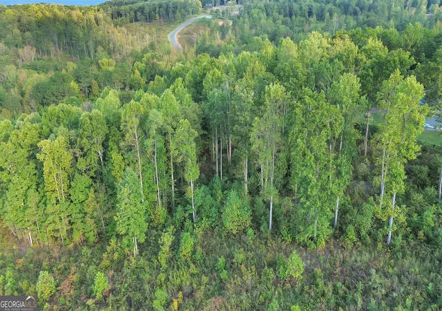 10th image of Lt 272 Highgrove Dr, Talking Rock, GA 30175 | MLS# 10614205