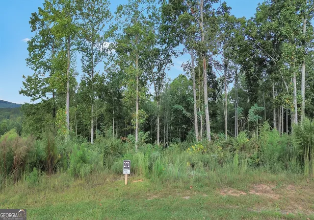 2nd image of Lt 272 Highgrove Dr, Talking Rock, GA 30175 | MLS# 10614205