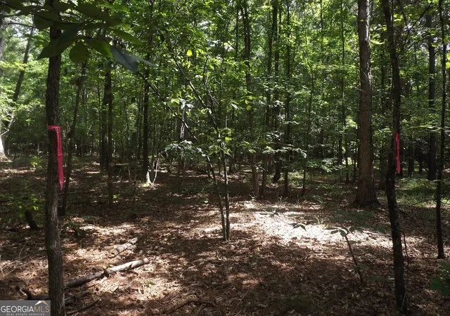 22nd image of 0 George Road, Cave Spring, GA 30124 | MLS# 10567389