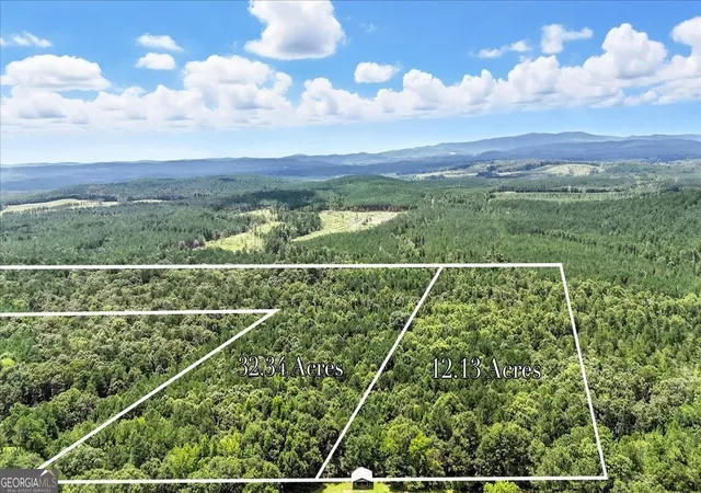 3rd image of 0 George Road, Cave Spring, GA 30124 | MLS# 10567389