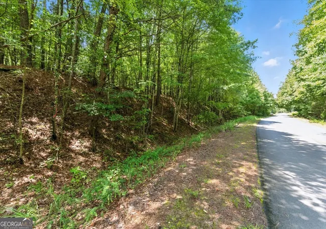 4th image of 0 George Road, Cave Spring, GA 30124 | MLS# 10567389