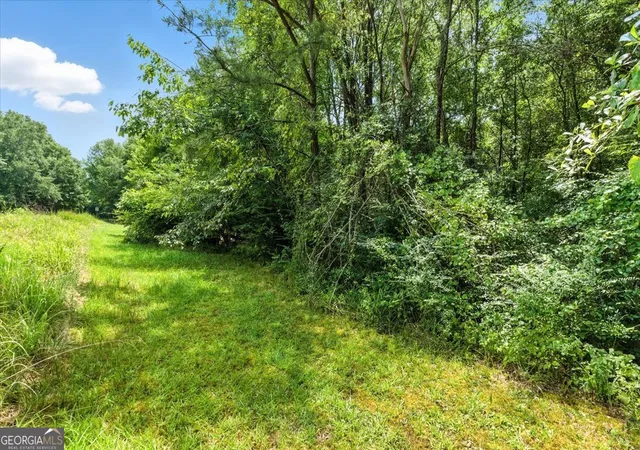 5th image of 0 George Road, Cave Spring, GA 30124 | MLS# 10567389