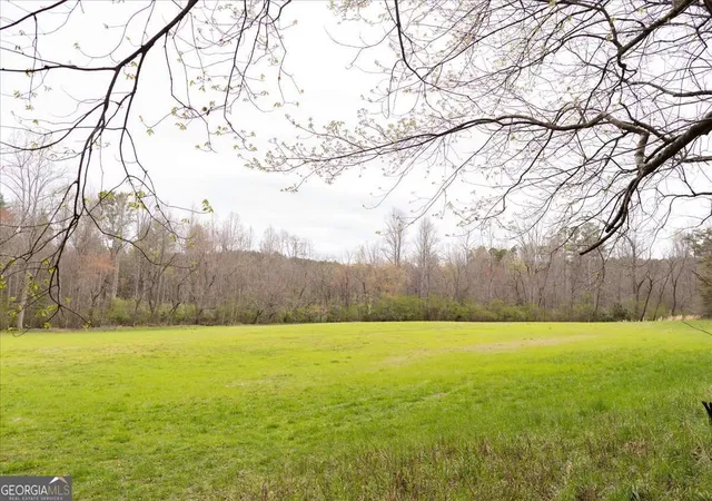 1st image of 0 Reagan Rd, Dawsonville, GA 30534 | MLS# 10724352