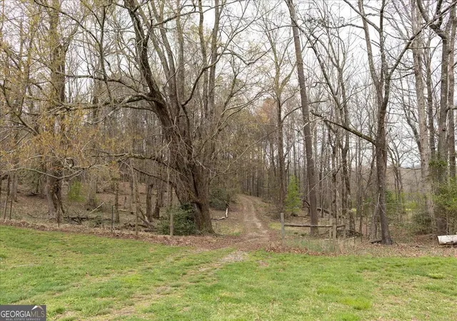 2nd image of 0 Reagan Rd, Dawsonville, GA 30534 | MLS# 10724352