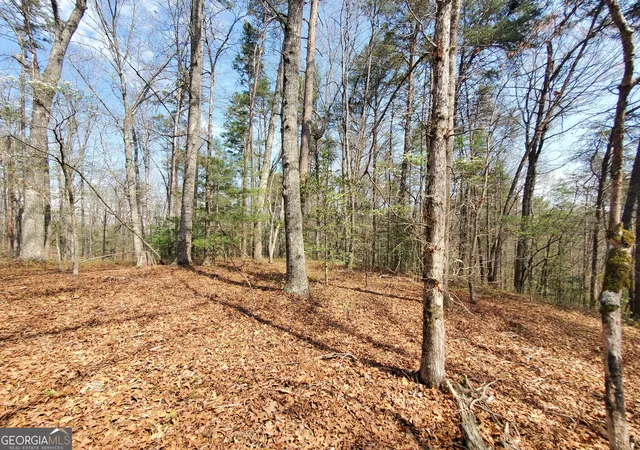 36th image of 0 Reagan Rd, Dawsonville, GA 30534 | MLS# 10724352