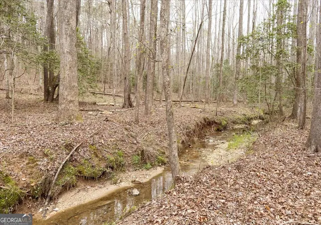 Photo 2 of Land for sale at 0 Reagan Rd, Dawsonville, GA 30534 | MLS# 10724352 | Listing updated on 2026-06-26