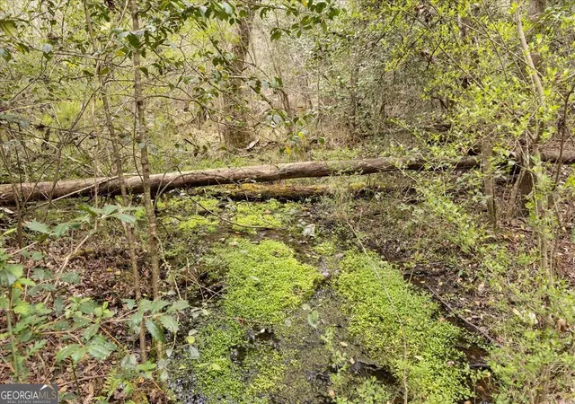 Photo 3 of Land for sale at 0 Reagan Rd, Dawsonville, GA 30534 | MLS# 10724352 | Listing updated on 2026-06-26