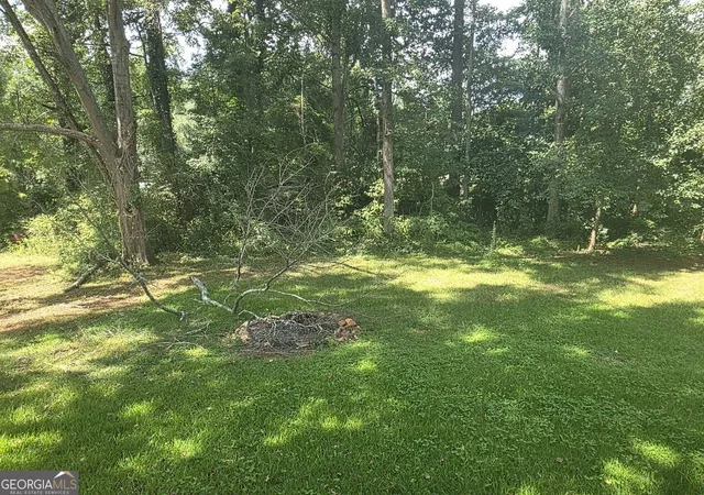 32nd image of 162 Fallin St, Thomaston, GA 30286 | MLS# 10831344
