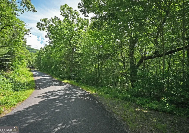 4th image of Lot 3 The Rdgs, Hiawassee, GA 30546 | MLS# 10798355