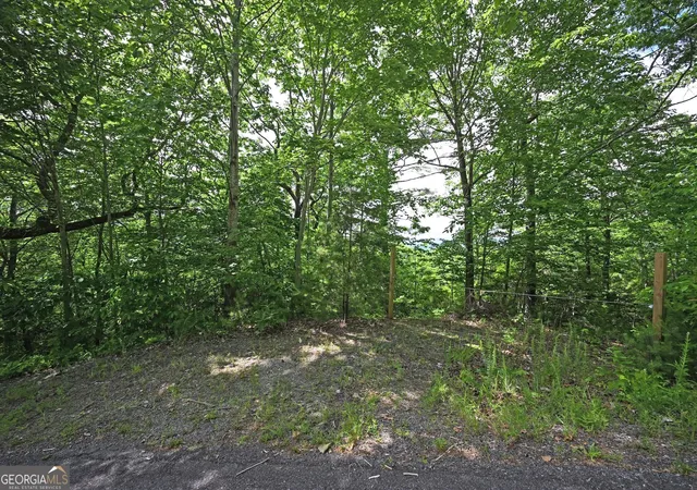 5th image of Lot 3 The Rdgs, Hiawassee, GA 30546 | MLS# 10798355