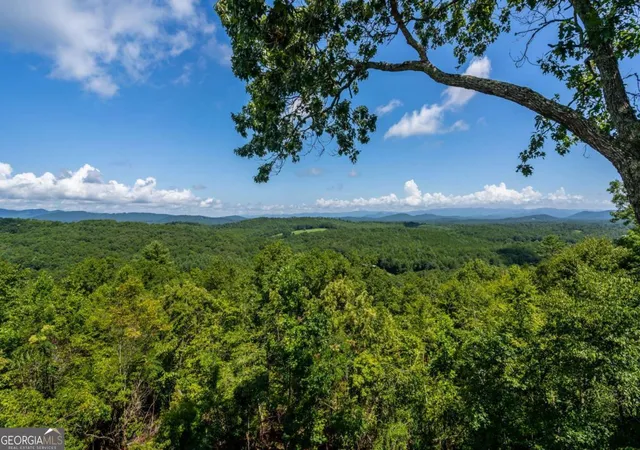 Photo 3 of Single family home for sale at 334 Hawksclaw Trl, Morganton, GA 30560 | MLS# 10812257 | Listing updated on 2026-09-06