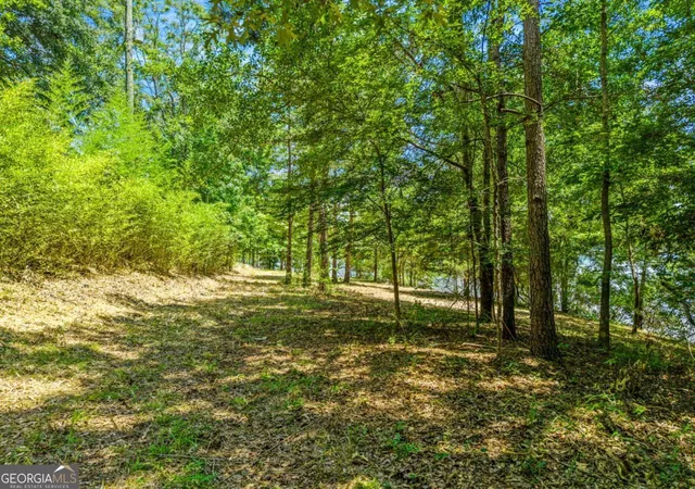 Photo 4 of Land for sale at 0 Foxglove Dr, Sparta, GA 31087 | MLS# 10804699 | Listing updated on 2026-09-26