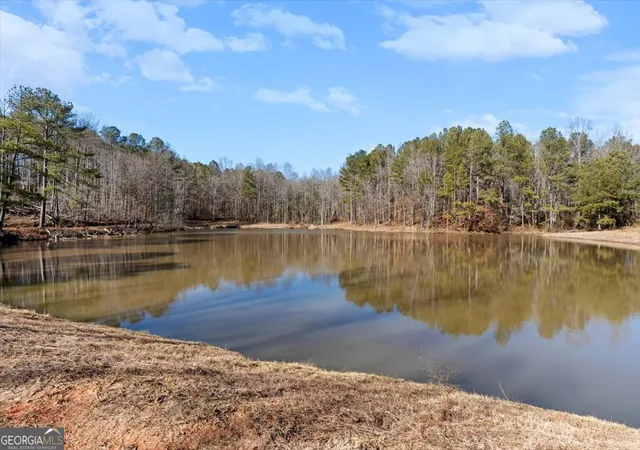 Homes for sale in Bowdon, GA | 80 Hand Rd, Bowdon, GA 30108 | MLS# 10680742