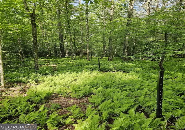 Photo 3 of Land for sale at 6480 Hwy 52 W, Dahlonega, GA 30533 | MLS# 10767107 | Listing updated on 2026-09-06