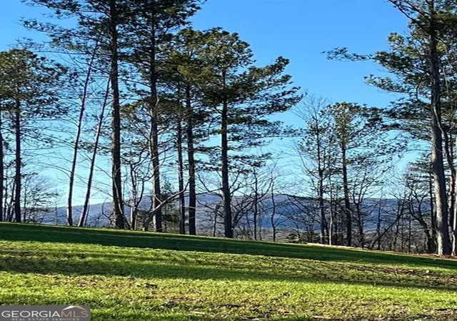 Photo 3 of Land for sale at 6480 Hwy 52 W, Dahlonega, GA 30533 | MLS# 10767107 | Listing updated on 2026-09-06