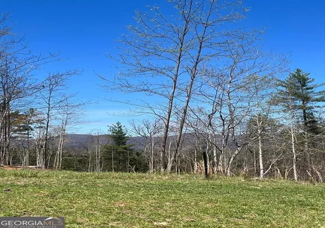 Photo 4 of Land for sale at 6480 Hwy 52 W, Dahlonega, GA 30533 | MLS# 10767107 | Listing updated on 2026-09-06