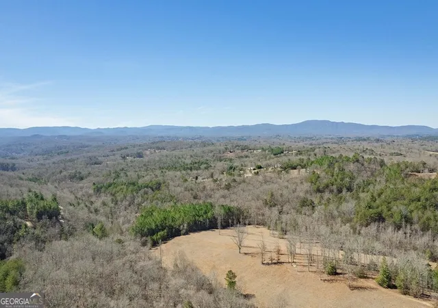 38th image of 560 Endless View Rd, Mineral Bluff, GA 30559 | MLS# 10726045