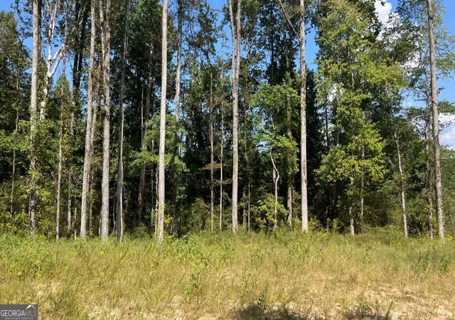 Photo 3 of Land for sale at 512 Level Crk Rd, Sugar Hill, GA 30518 | MLS# 10807383 | Listing updated on 2026-07-31