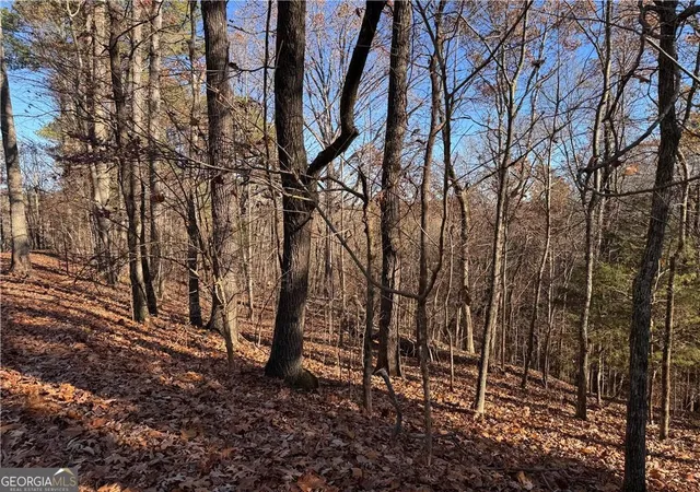 Photo 1 of Land for sale at 129 Adair Dr Ne, Ranger, GA 30734 | MLS# 10416356 | Listing updated on 2025-11-29