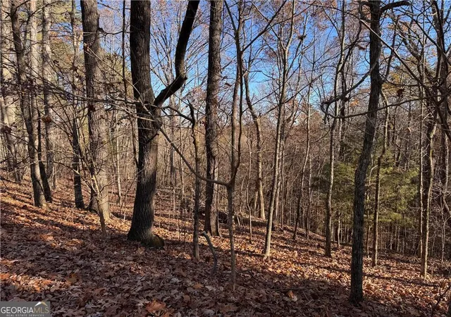 Photo 2 of Land for sale at 129 Adair Dr Ne, Ranger, GA 30734 | MLS# 10416356 | Listing updated on 2025-11-29