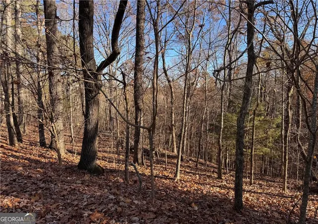 Photo 3 of Land for sale at 129 Adair Dr Ne, Ranger, GA 30734 | MLS# 10416356 | Listing updated on 2025-11-29