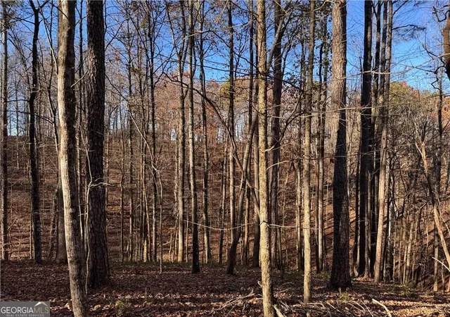 Photo 3 of Land for sale at 129 Adair Dr Ne, Ranger, GA 30734 | MLS# 10416356 | Listing updated on 2025-11-29