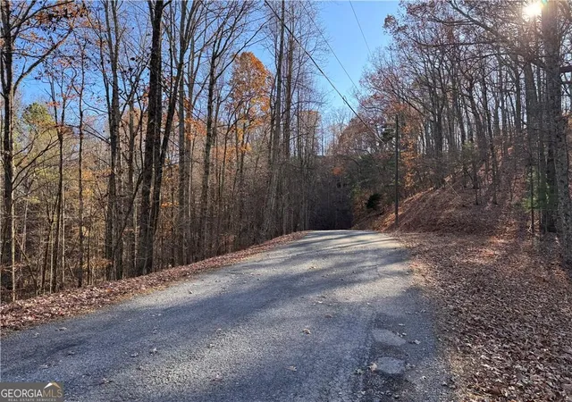 Photo 4 of Land for sale at 129 Adair Dr Ne, Ranger, GA 30734 | MLS# 10416356 | Listing updated on 2025-11-29
