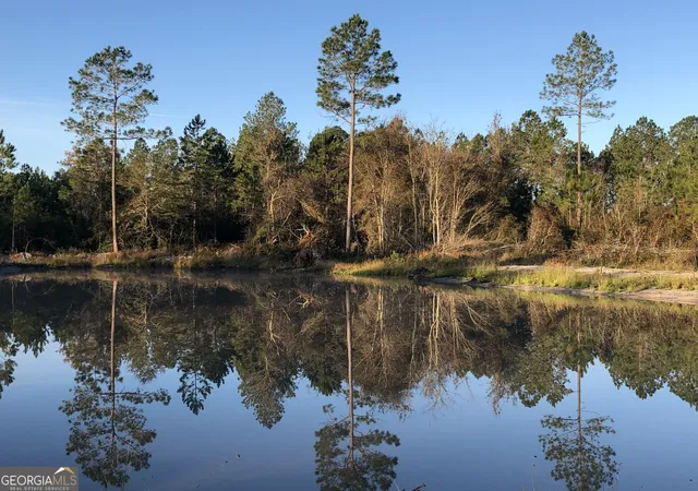 Photo 4 of Manufactured home for sale at 6064 S US Hwy 301, Jesup, GA 31546 | MLS# 10793770 | Listing updated on 2026-07-10