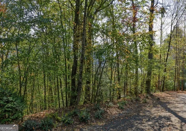 3rd image of Lot 81 Lillie Dr, Ellijay, GA 30540 | MLS# 10817394