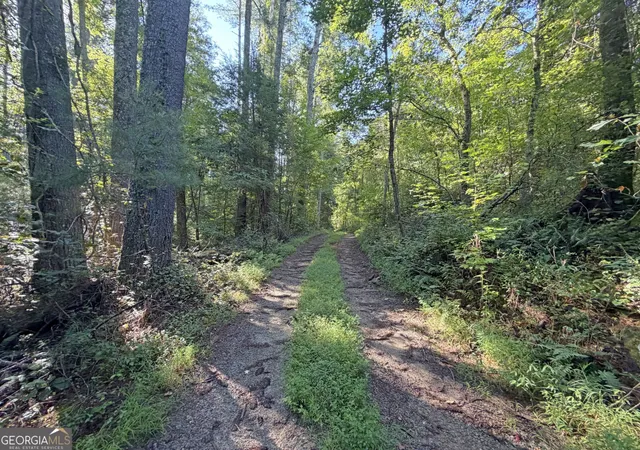 1st image of 505 Hank Fry Rd, Clarkesville, GA 30523 | MLS# 10831165