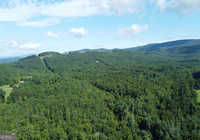 Photo 3 of Land for sale at 505 Hank Fry Rd, Clarkesville, GA 30523 | MLS# 10831165 | Listing updated on 2026-09-12