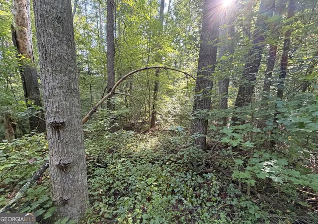 Photo 3 of Land for sale at 505 Hank Fry Rd, Clarkesville, GA 30523 | MLS# 10831165 | Listing updated on 2026-09-12
