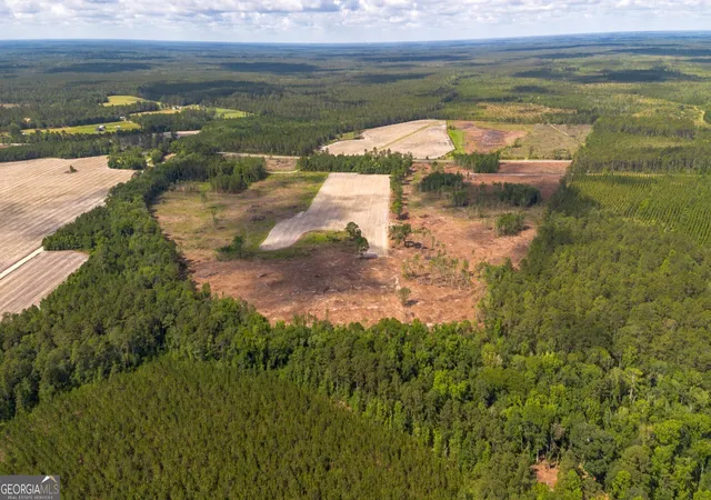 1st image of 575 Highway 67, Pembroke, GA 31321 | MLS# 10782030
