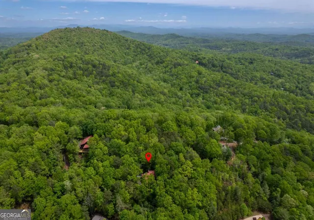 Homes for sale in Cherry Log, GA | 305 Martin Xing, Cherry Log, GA 30522 | MLS# 10792817
