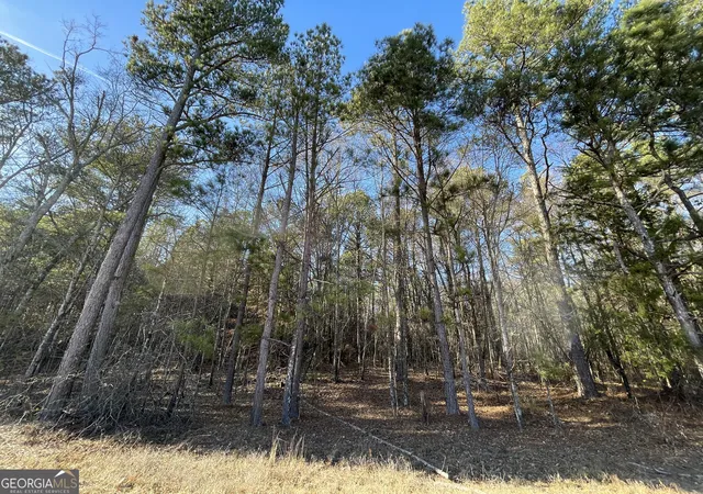 4th image of 13 Ac S Hwy 81, Covington, GA 30016 | MLS# 10671535