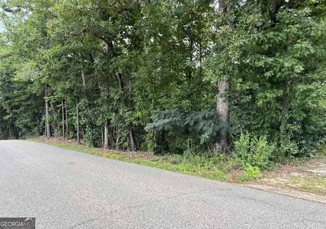 Photo 4 of Land for sale at 0 Allison Dr #LOT 8 & 9, Lakeview, AL 35111 | MLS# 10811081 | Listing updated on 2026-08-29