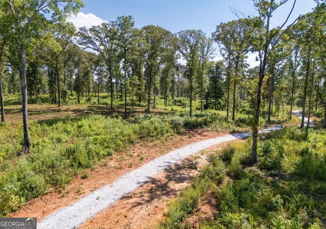 Photo 2 of Land for sale at 0 Hwy 100 #11 TUCKER WAY, Franklin, GA 30217 | MLS# 10834827 | Listing updated on 2026-09-11
