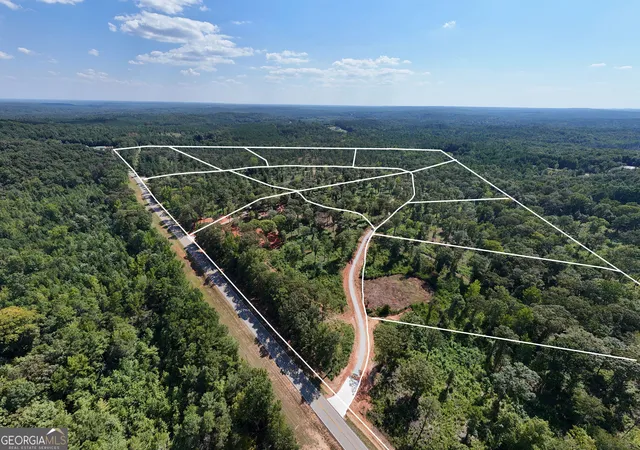 Photo 33 of Land for sale at 0 Hwy 100 #11 TUCKER WAY, Franklin, GA 30217 | MLS# 10834827 | Listing updated on 2026-09-11