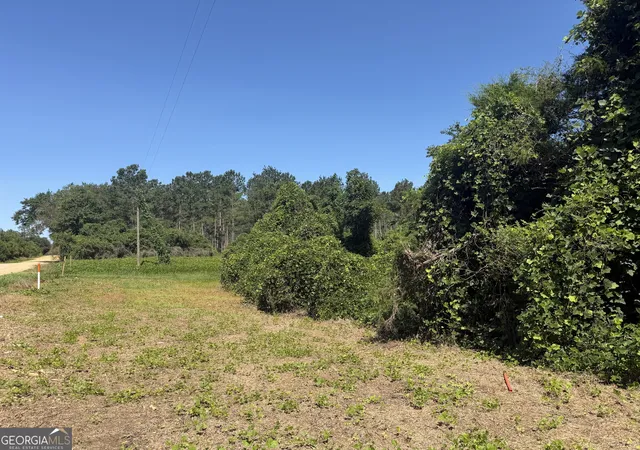 Homes for sale in Ashford, AL | 006h Wallace Buie Rd, Ashford, AL 36376 | MLS# 10800799